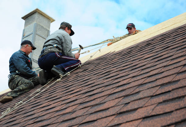 Best Roofing Contractors for Homes  in Mcminnville, TN